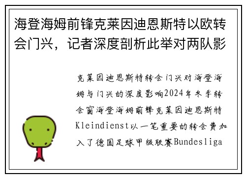 海登海姆前锋克莱因迪恩斯特以欧转会门兴，记者深度剖析此举对两队影响