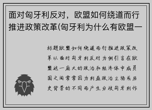 面对匈牙利反对，欧盟如何绕道而行推进政策改革(匈牙利为什么有欧盟一票否决权)